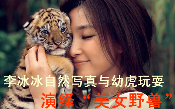 李冰冰自然写真与幼虎玩耍 演绎“美女野兽”