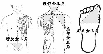 护好人体金三角