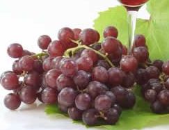 英研究发现多吃葡萄有利高潮
