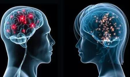 脑科学与教育，你不可不知的研究动向