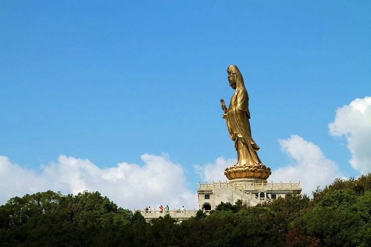 你只管善良，上天自有安排