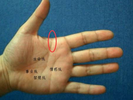 手上有这三条纹，财源广阔