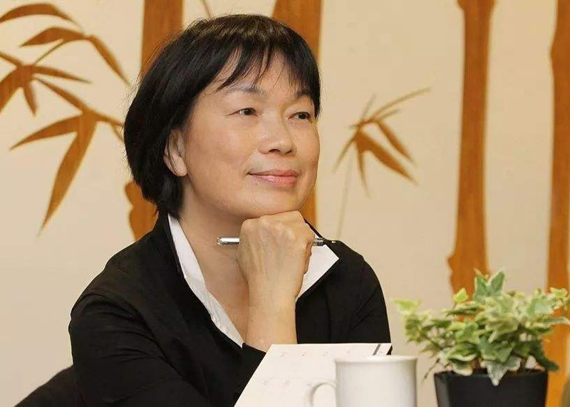 龙应台：从小多读文史哲，让看不见的东西“被看见”
