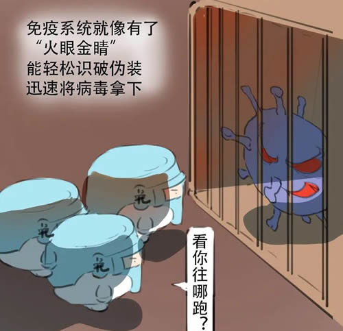 我是疫苗，认识一下呗