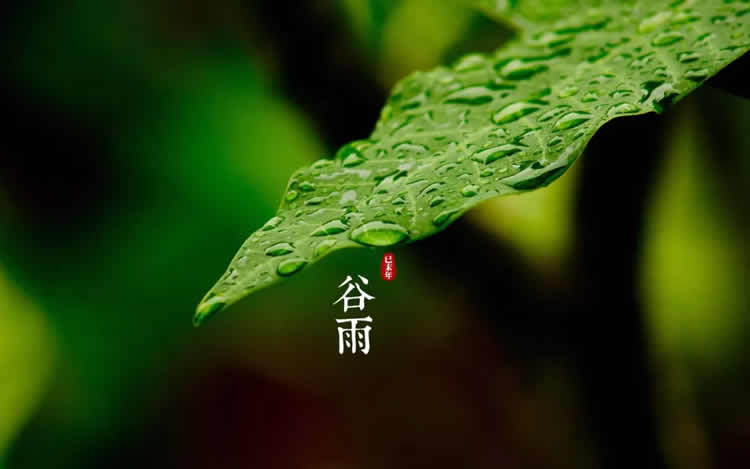 谷雨 | 暮春，将夏