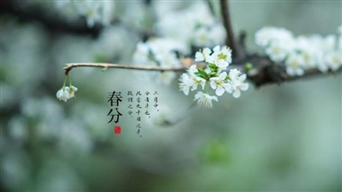 今日春分