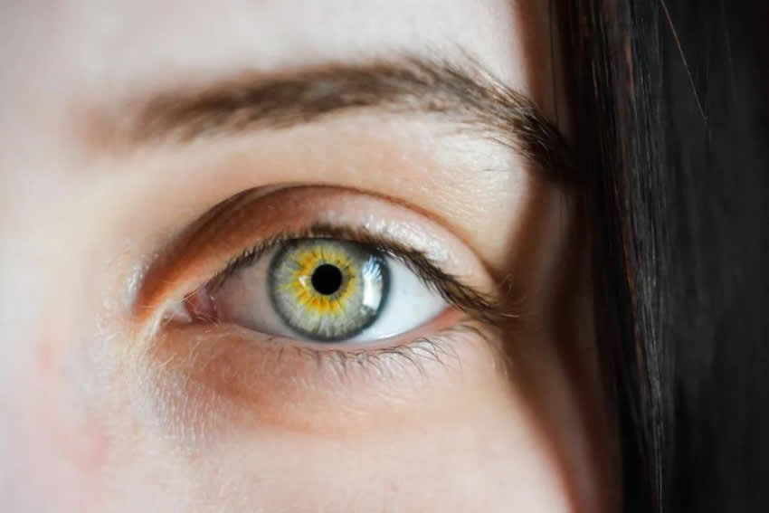 AI能够 “由眼观心”，通过视网膜扫