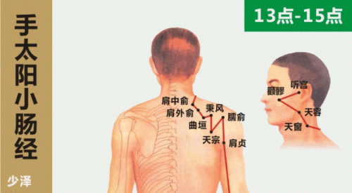 十二经络走向动画图（2）