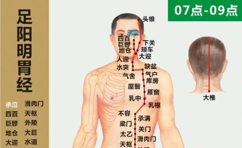 十二经络走向动画图（1）