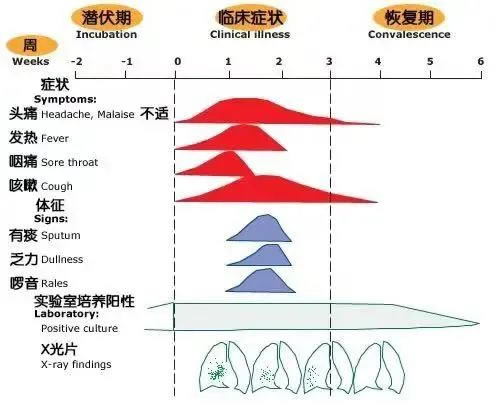 支原体肺炎高发季来了，请当心 第 3 张