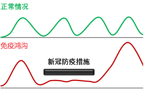 什么是“免疫债”？它真的是呼吸道感染激增的原因吗？ 第 3 张