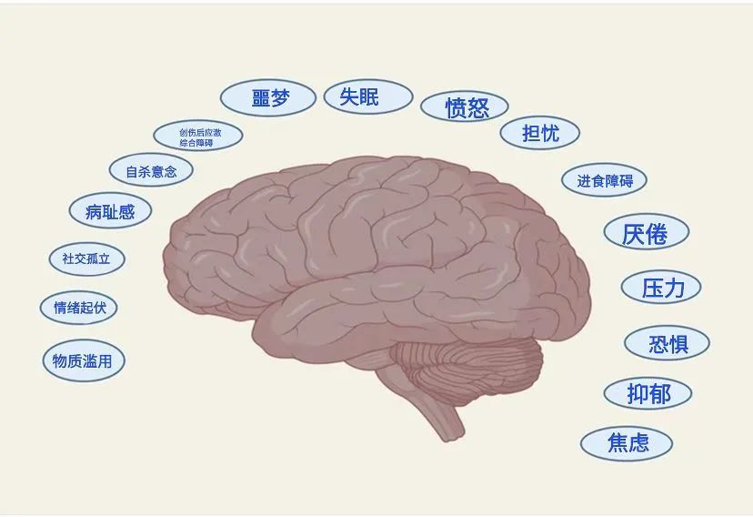 大流行后，如何重建我们的心理健康？