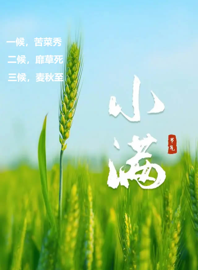 今日小满 人生最好是小满