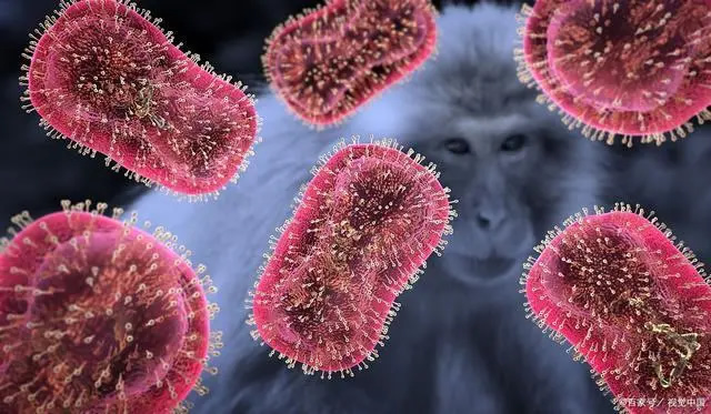 关于猴痘病毒的健康提示