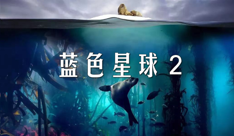 纪录片《蓝色星球2》 第1集