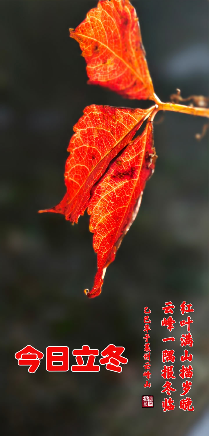 璀璨的莱州民俗文化——立冬