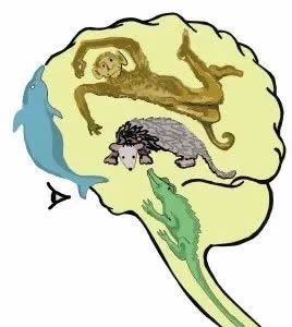 耶鲁脑科学家揭开“孩子不爱学习”的秘密 第 3 张