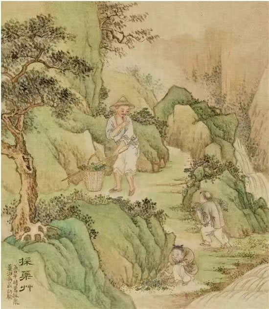 今日端午！与您共享“粽”夏 第 5 张