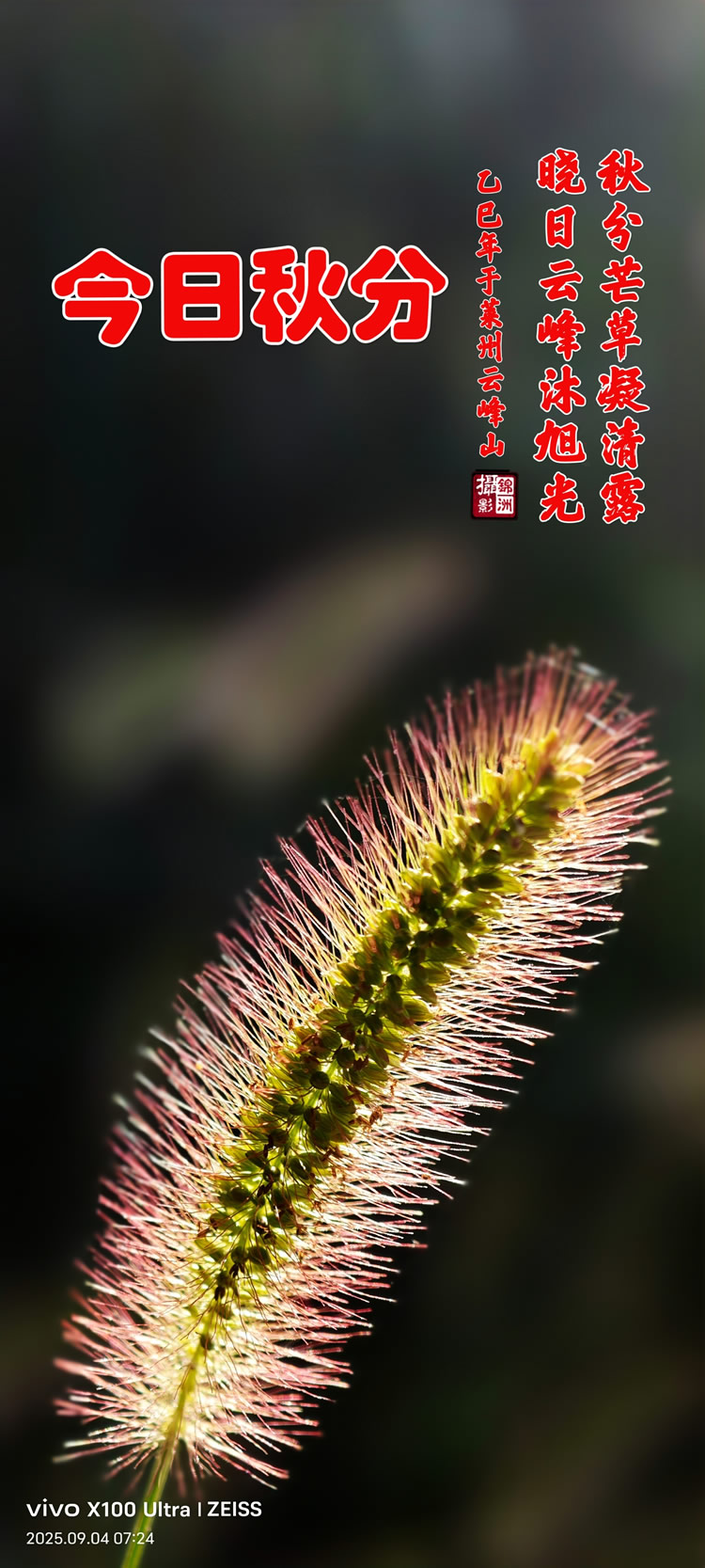  璀璨的莱州民俗文化 ——秋分  第 2 张