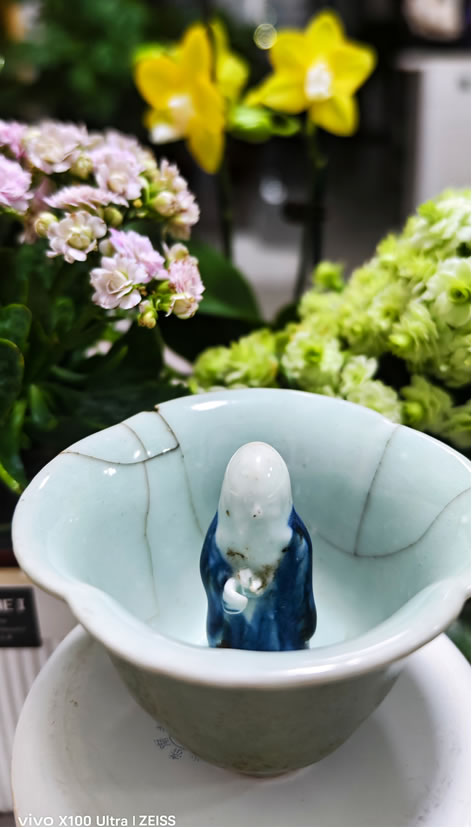 辛酉之乱——记西由辛酉之殇