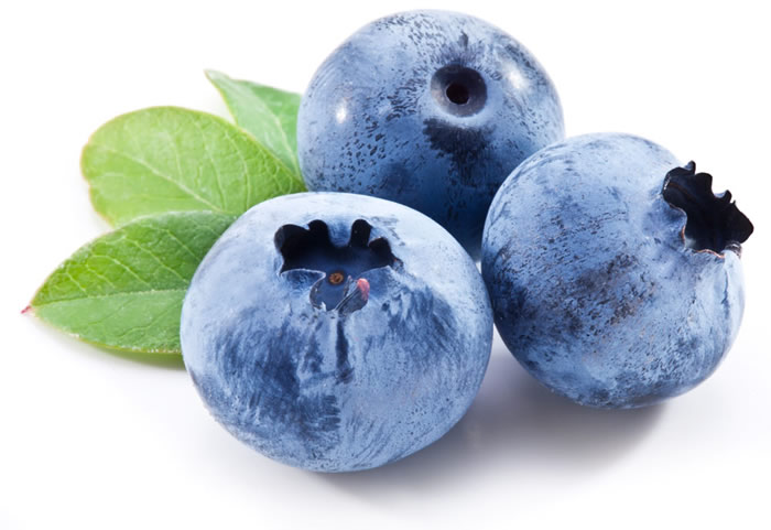 英媒：研究称蓝莓可促进儿童脑功能