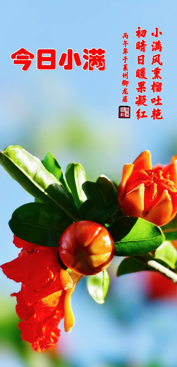 璀璨的莱州民俗文化——小满